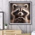 Raccoon 30x30 cm