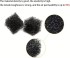 Pet Hair Removal Sponges, 3 pcs