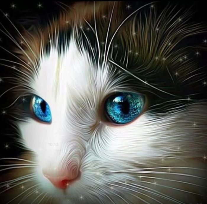 Cat with Blue Eyes 50x50 cm