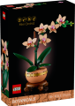 10343 LEGO Botanicals Mini orhideja