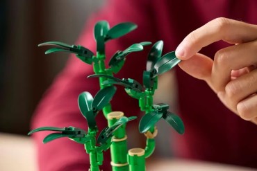 10344 LEGO Botanicals Laimę nešantis bambukas