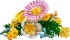 10347 LEGO Botanicals Petite Sunny Bouquet