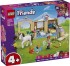 42696 LEGO Friends Loomakliinik