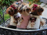 Three Dogs 40x30 cm