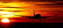 Airplane at Sunset 40x30 cm