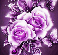 Purple roses with butterflies 30x30 cm