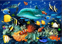 Colorful fish 40x30 cm