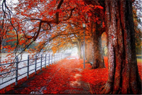 Wonderful Autumn 60x40 cm