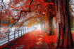 Wonderful Autumn 60x40 cm