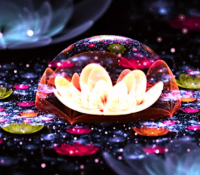 Colorful lotus flower 40x30 cm