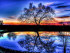 Tree reflection 40x30 cm