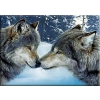  Wolves 30x40 cm